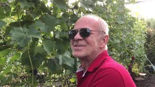 видео: В гостях у Виктора Дерюгина. Бронницы. 12 сентября 2020 года. картинка: В гостях у Виктора Дерюгина. Бронницы. 12 сентября 2020 года.