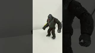 Zilla I Know Im Not Supposed To Be Here