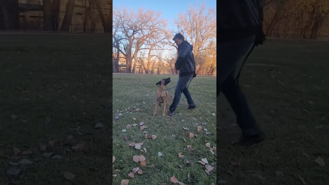 Training with Marvin at The Forks. Building speed and engagement. 