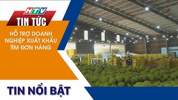 HỖ TRỢ DOANH NGHIỆP XUẤT KHẨU TÌM ĐƠN HÀNG