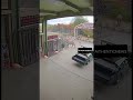 Bigger than captivity! #trending #video #viral #shorts #explore #foryou #foryoupage #animals #funny