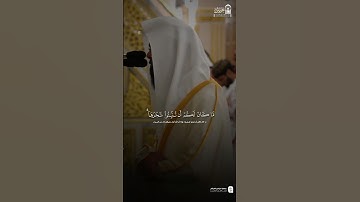 (أمن يجيب المضطر إذا دعاه) #محمد_برهجي | سورة النمل #اكسبلور