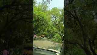 cabs in Tirunelveli Selvam Innova tirp papanasam to tenkasi scenery place