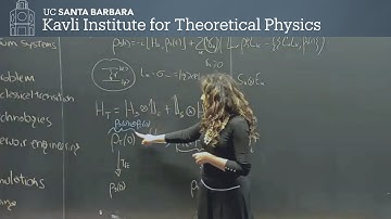Open quantum systems: Opportunities & challenges ▸ KITP Blackboard Talk by Sabrina Maniscalco