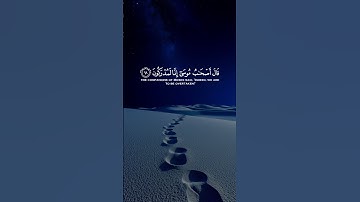قال كلا إن معي ربي سيهدين || سورة الشعراء || القارئ: اسلام صبحي