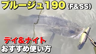 ヒフミクリエイティング ブルージュ190F スパークリングクリア 最新