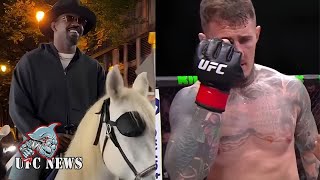 видео: Фанаты отмечают провал с «$50 млн»: Джон Джонс подъехал на лошади с повязкой на глазу, чтобы потр... картинка: Фанаты отмечают провал с «$50 млн»: Джон Джонс подъехал на лошади с повязкой на глазу, чтобы потр...