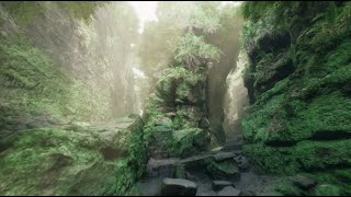 Realistic Environments | RealityCapture   Unreal Engine 4