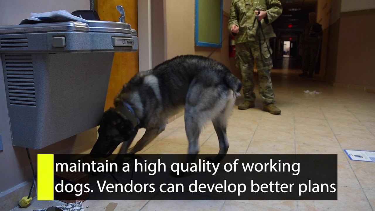 Inside AFIMSC - Category Intelligence Report