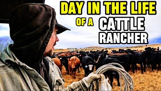 DAY IN THE LIFE Of A Nebraska Cattle Rancher 