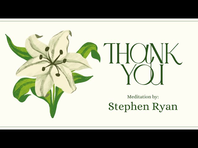 Thank You - Stephen Ryan