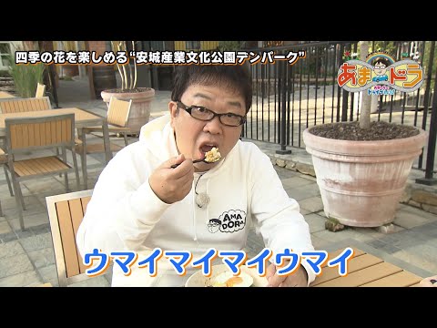 【クリスマスデートにも♡】四季の花々が楽しめる！安城産業文化公園デンパーク（愛知県安城市）【あまドラ～天野っちのドライブしよう！！～】