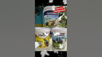 hóa chất sơn nước Pu Epoxy aky