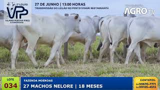034   27 MACHOS NELORE   18 MESES