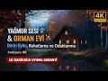 Yağmur Sesi &amp; Orman Evi 🌧️ Derin Uyku, Rahatlama ve Odaklanma | Ambiyans 4k