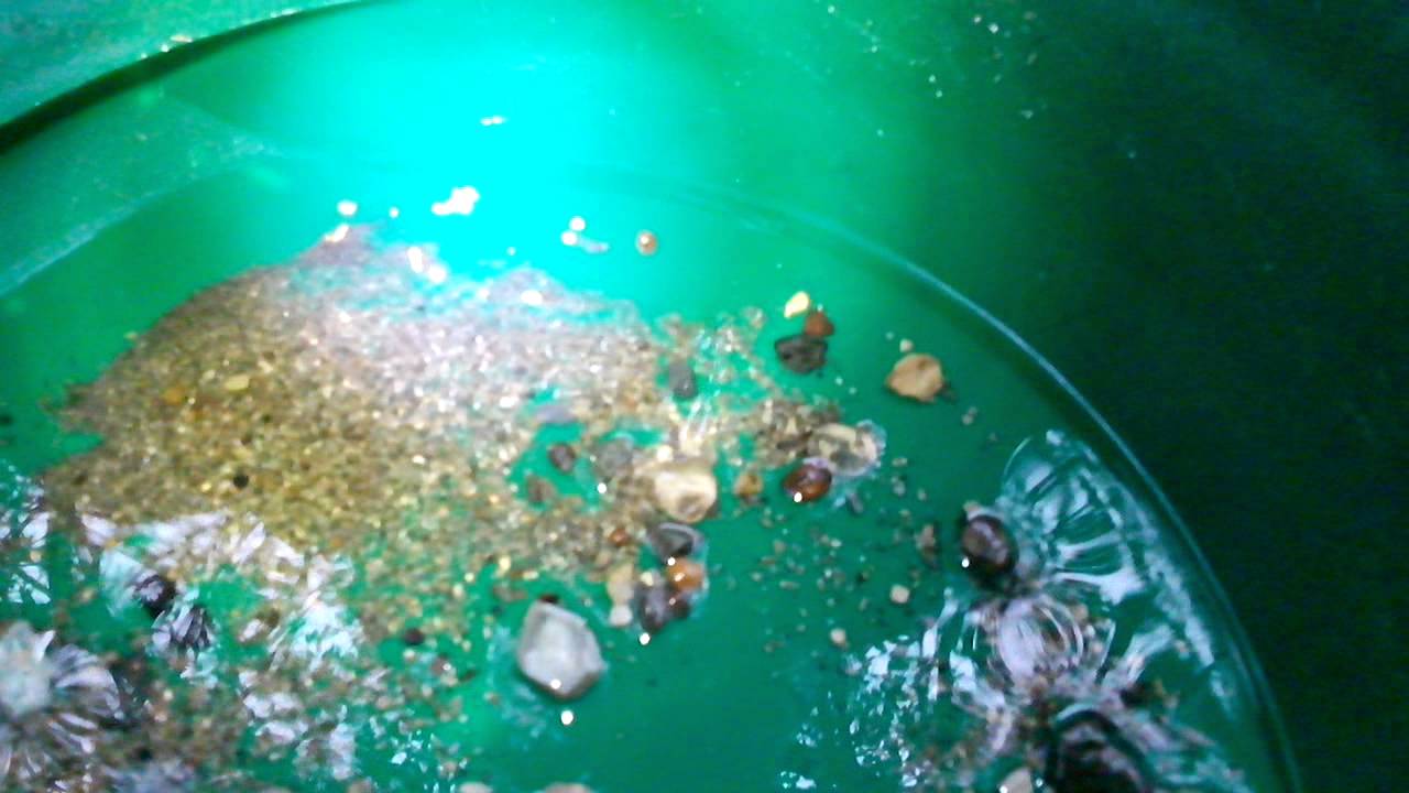 Gold panning in Wicklow