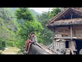 Unseen Amazing Life of East Nepal Mountains People | Peaceful Rural Atmosphere | BijayaLimbu