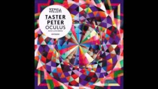 Taster Peter - Speak With An Audible Voice (Original Mix)