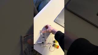 IMG 3681