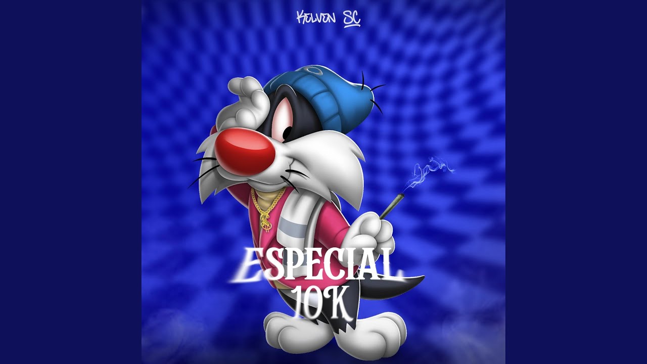 MEGA FUNK ESPECIAL 10K - YouTube