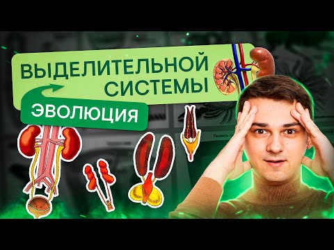 Эволюция выделительной системы | Биология с Мишей Гис | ЕГЭ 2024 | SMITUP