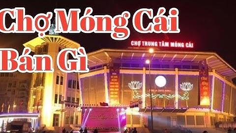 Khám Phá Chợ Cửa Khẩu Móng Cái_Điểm Du Lịch Móng Cái Không Thể Bỏ Qua_Chợ Trung Tâm Móng Cái