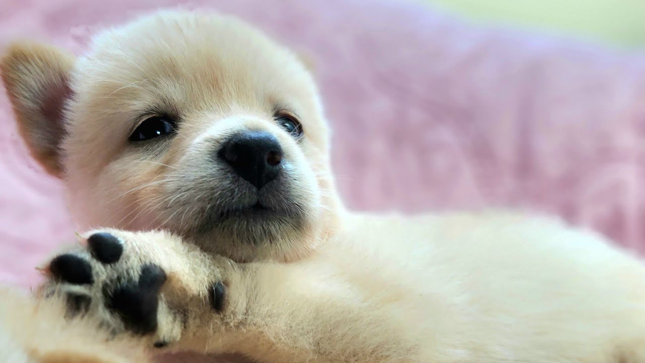 나렝아치 주말 수다방