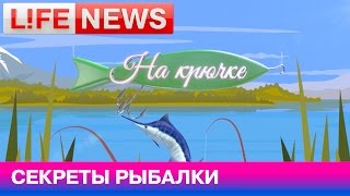 Секреты рыбалки на осетра и фирменный шашлык на гриле Секреты рыбалки на осетра и фирменный шашлык на гриле
