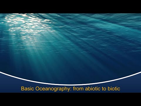 Marine Biology at Home 3: Basic Oceanography