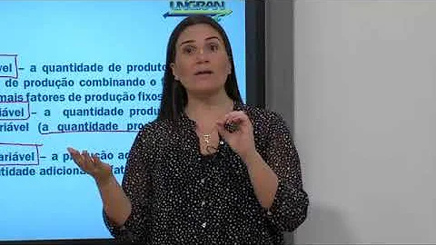O que é a Teoria da Firma?