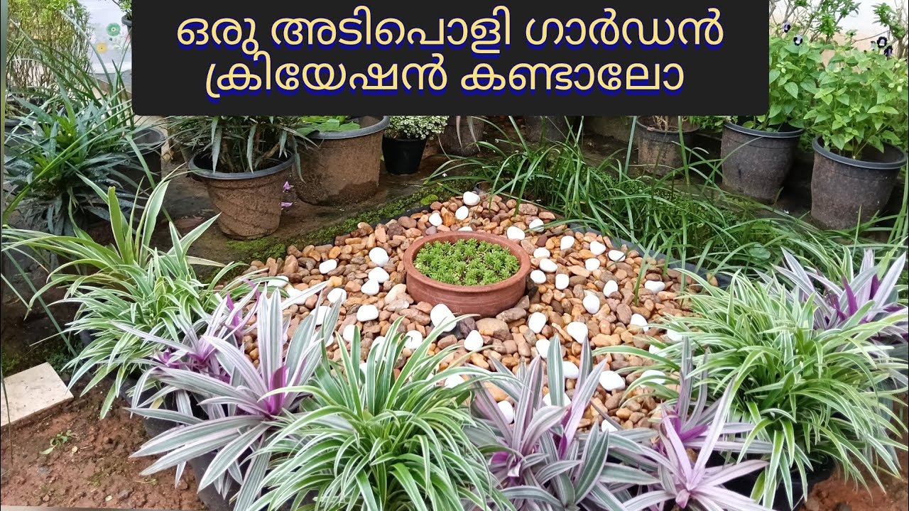 മുറ്റത്ത് ഒരു അടിപൊളി ഗാർഡൻ /A variety garden in the yard/ Garden tips/ Sweet Garden