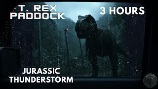 Trapped in the Car Next to the T-Rex Paddock | Thunderstorm Ambience for Sleep
