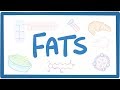 Fats  biochemistry