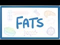 Understanding Fats and Fatty Acids