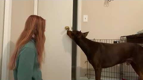 Riley Canouse, Lesson 7, Exercise 7.5, New Target Behavior