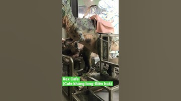 Rex cafe-Cafe Khủng Long-Võ thị sáu-biên hoà-đồng nai