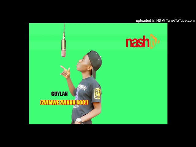 Guylan-zvimwe zvinhu soo (official Audio) class=