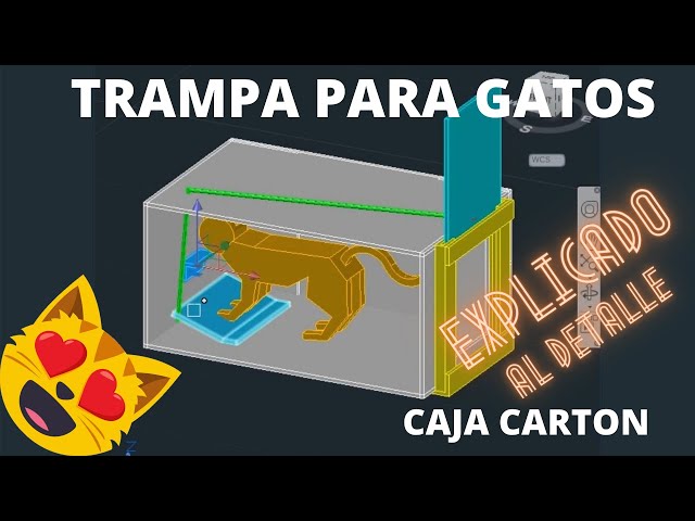 TRAMPA PARA GATOS 😻😻 explicado !!! 