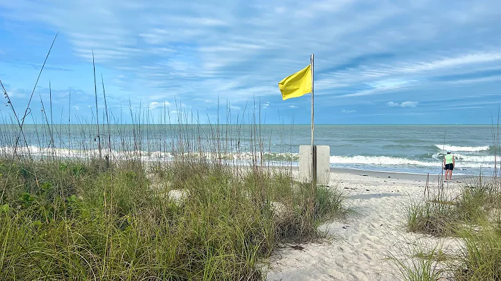 Part 3 of Robb's Friday Morning Beach Walk in North Naples, FL 03.25.22