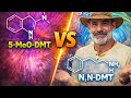 Two Drugs, One Name: The DMT Confusion