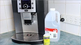 Homemade Coffee Descaler - How to video