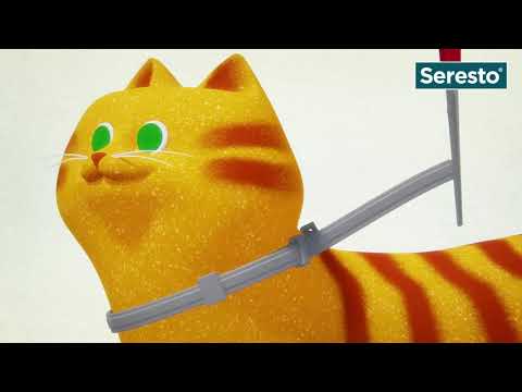 Mode d'application du collier Seresto Chat | zooplus.fr