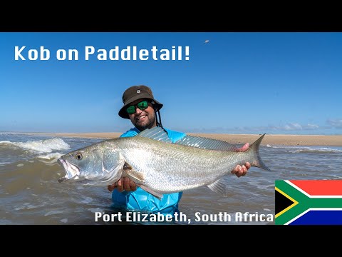 CATCHING KOB ON LURE AND SOME SHARKS FROM SHORE IN PORT ELIZABETH! // DUVAN  FISHING CHARTERS 