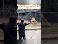 長い別離の後も世話人を覚えていた動物たち