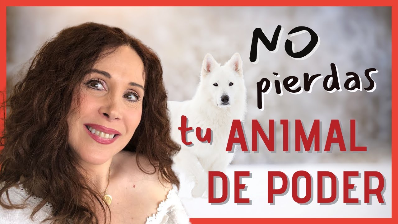 Como saber cual es tu animal espiritual