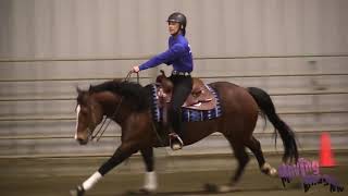 2052 Reining; D6M2