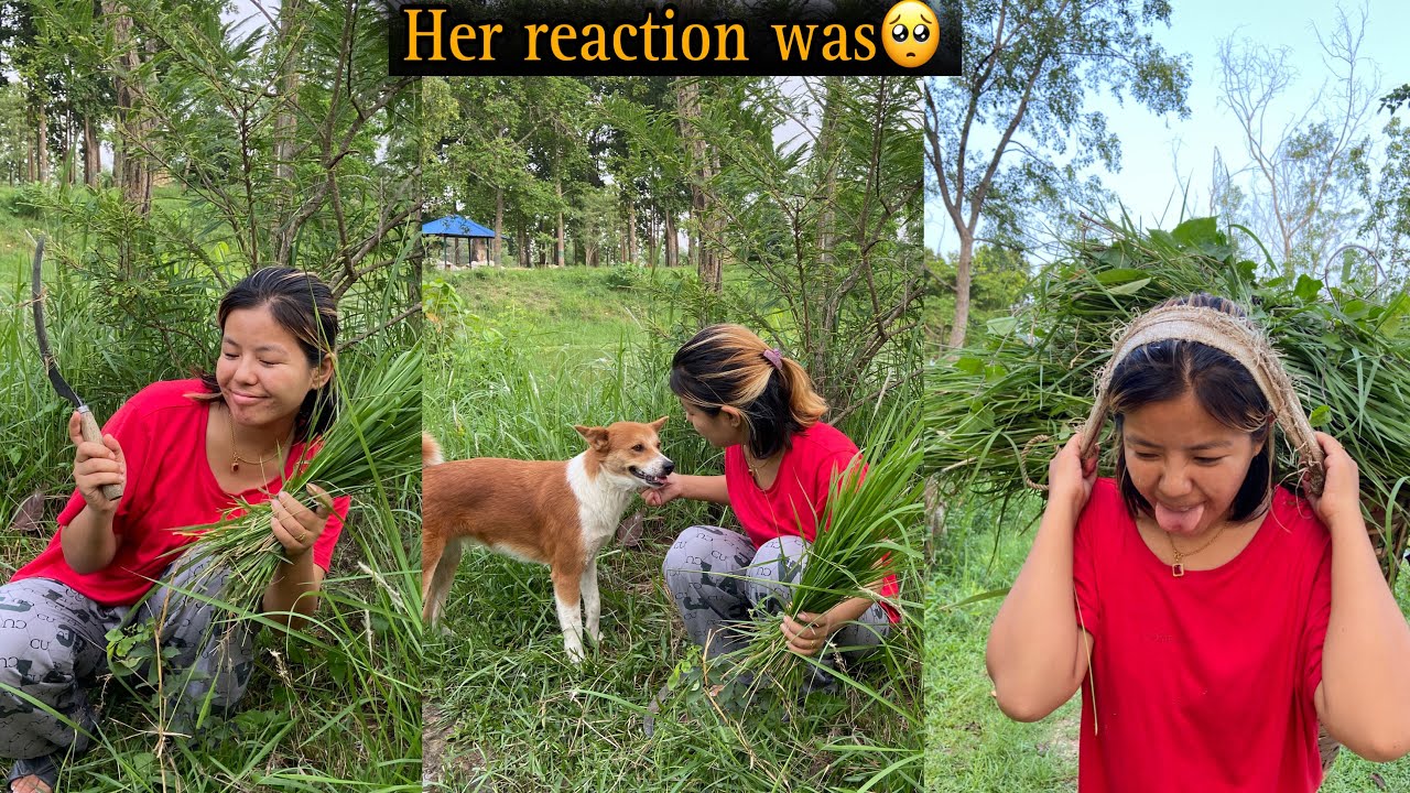 GHASH KATDAI BASINCHA KAILE KAI TA🍃