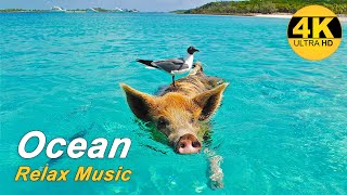 ?Relax Music/Ocean 4K ? Music for relaxation and sleep/Video UHD 4K