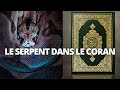 Le serpent dans le coran  sakina tv coran