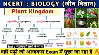 Plant Kingdom | पादप जगत का वर्गीकरण | Padap jagat | Botany | Study vines official